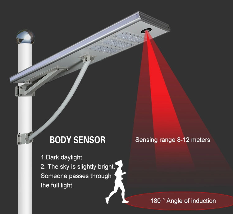 solar garden lights factory price